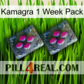 Kamagra 1 Week Pack 01